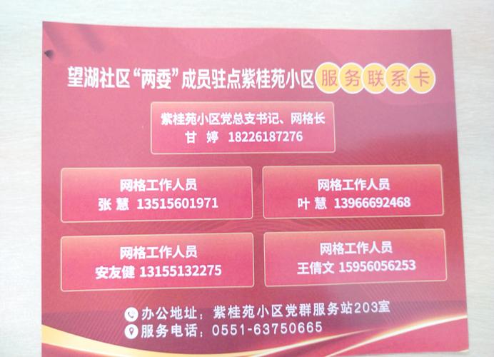 社区两委换届及疫情防控应急预案，保障工作顺利与群众健康