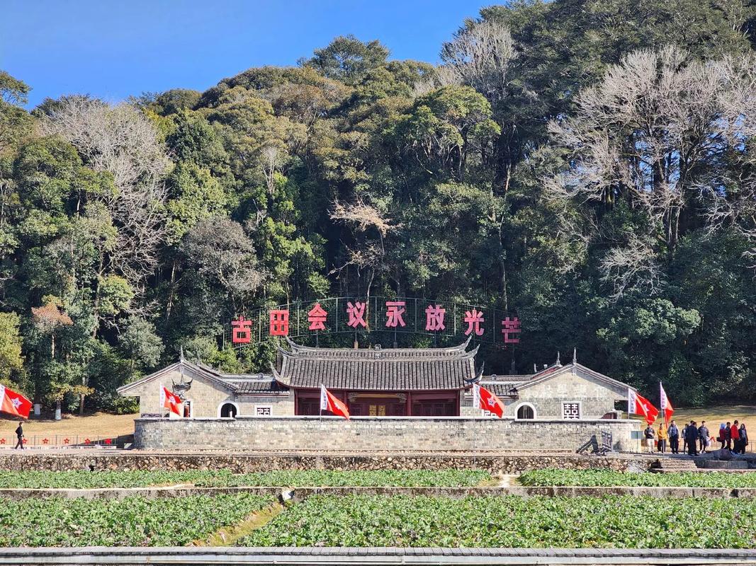 古田疫情_古田县确诊病例_